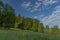 Fields meadows pasture land in national park in spring color morning