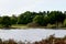 Fields and Mere - East Wretham Heath NWT Nature Reserve, near Thetford, Norfolk, England, UK