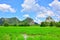 The fields are mountains. There is a blue sky as the background