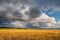 Fields and open spaces in the steppes of Tuva against the background of rainy clouds in autumn