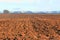 Fields prepared for sowing with snowy mountains in the background