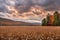 Fields of ripe corn, under a cloudy sky, hills and trees in autumn