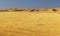 Fields of ripened wheat in the mountains