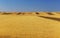 Fields of ripened wheat in the mountains