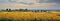 Fields of sunflowers surrounding a picturesque village, epitomizing the summer countryside