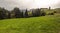 Fields in the swiss Alps