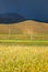 Fields in Tibetan landscape
