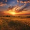 Fields of Tranquility: Calmness Found in Vast Crop Fields