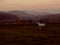 Fields of Transylvnia, colours of nature