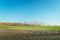 Fields and trees on the horizon, spring view