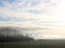 Fields, trees, mist, sheep, Pilling, Lancashire