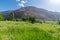 Fields in Turtuk Viilage - Landscape of Nubra Valley in Leh Ladakh, Jammu and Kashmir, India