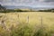 Fields in Waternish, Isle of Skye
