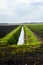 Fields in West Lancashire in Early Spring