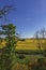 Fields of Yellow Rapeseed Flowers seen on rolling farmland and Lunan Water.