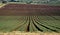 Fields in Yezreel Valley