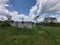 Fieldstone foundation ruins in a medow with white fluffy clouds