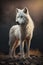 Fierce Arctic Wolf with Golden Eyes in Flawless Shape. Perfect for Wildlife Posters.