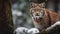 Fierce Bengal tiger staring in snowy forest generated by AI