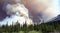 A fierce forest fire blazing at banff park