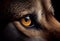 Fierce look of the lion's eye. generative AI.