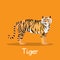 Fierce tiger in Asia illustration desian on orange background.vector