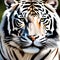 Fierce white tiger - ai generated image