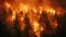 A fierce wildfire rages through a dense forest, engulfing trees in bright orange flames.