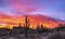 Fiery Arizona Sunrise With Cactus