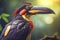 Fiery billed Aracari bird toucan