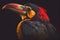 Fiery billed Aracari bird toucan