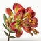 Fiery Blooms: The Bold Beauty of Red Alstroemeria