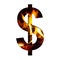 Fiery dollar money business symbol from white paper on a background of fire in a fireplace or stove, decorative alphabet