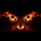 Fiery Feline Eyes in the Dark