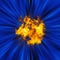 Fiery flash of fire against the background of blue speed rays