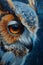Fiery Fractures: A Closeup of Owl and Bee Eyes Against a Blue Ba