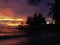 Fiery glow sunset over a beautiful tropical beach and ocean water. Different colours of clouds and the silhouette of palm tree.