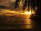 Fiery glow sunset over a beautiful tropical beach and ocean water. Different colours of clouds and the silhouette of palm tree.