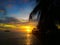 Fiery glow sunset over a beautiful tropical beach and ocean water. Different colours of clouds and the silhouette of palm tree.