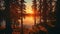 Fiery horizon: Sunset\'s embrace in a forested haven with lakeside serenity
