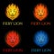 Fiery lion logo set