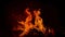 Fiery Night: Flames Dance in the Dark