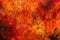 Fiery orange and red acid wash background with bold and dynamic patterns and textures