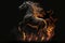 Fiery stallion rearing up against black background