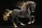 Fiery stallion rearing up against black background