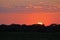 FIERY SUN DISAPPEARING BEHIND TREELINE OF AN AFRICAN BUSH LANDSCAPE