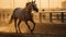 Fiery Sunset at the Dubai Gold Cup