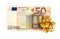 Fifty euro notes