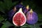 Fig Elegance: Ripe Figs Gracefully Arranged on a Wooden Table