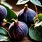 Fig fresh raw organic fruit